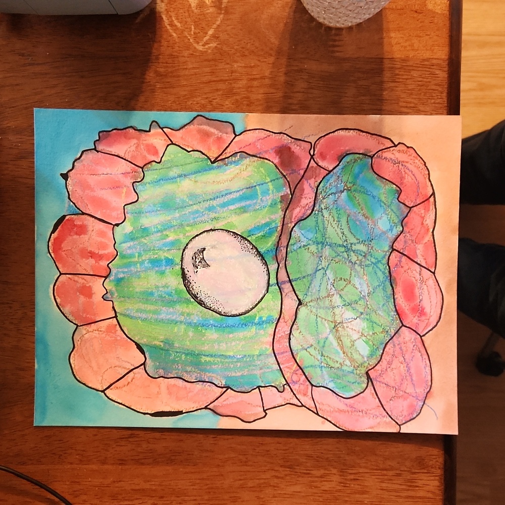 Clam Pearl Oil Pastel Watercolor Painting